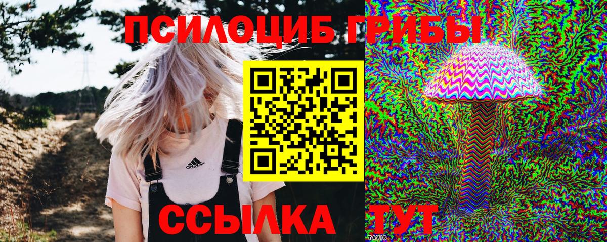 Магнитогорск  Галлюциногенные грибы Psilocybine cubensis  Вход с VPN  наркота  Галлюциногенные грибы мицелий 